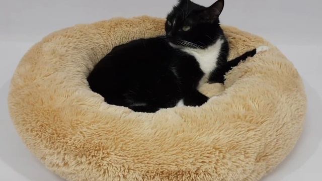 Лежанка для кошек и собак смотреть онлайн