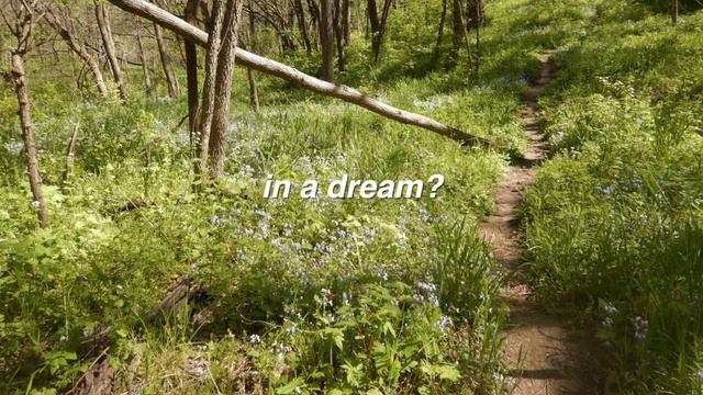 Sarah - Alex G (lyrics) смотреть онлайн