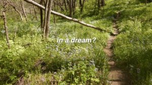 Sarah - Alex G (lyrics)