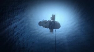 МОРСКОЙ ШОКЕР против КРУШИТЕЛЯ. Водный дракон против водного дракона