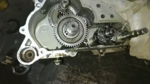 Квадроцикл Forte 200cc зламався редуктор (кпп)