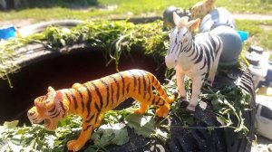 Животные распаковка