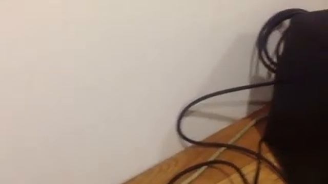 M-audio speakers being sold on gumtree смотреть онлайн