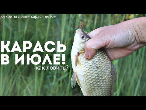 Новые секреты ловли карася в июле-августе! Как на что и где ловить карася летом в жару? смотреть онлайн