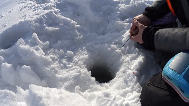 Весенние поиски подлещика, на озере в Мамаевке. смотреть онлайн