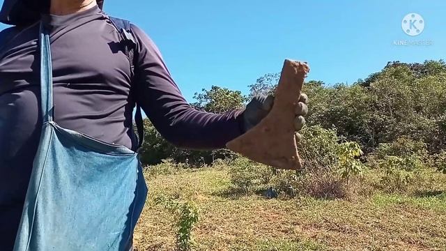 TESOURO NA ROTA DOS TROPEIROS..DETECTOR EQUINOX 600.. JUNTAMENTE COM AMIGOS.. ÓTIMOS ACHADOS смотреть онлайн