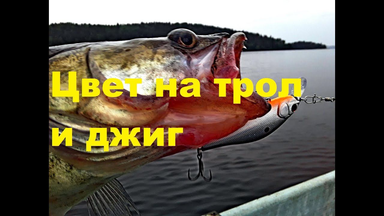 Цвет приманки на джиг и троллинг Сколько воблеров надо? смотреть онлайн