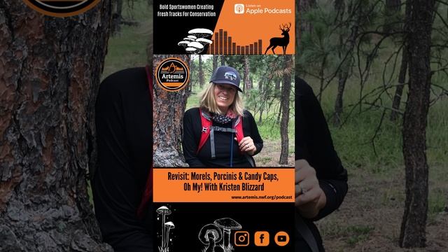 Morels, Porcinis & Candy Caps, OH MY! with Kristen Blizzard #podcast #conservation #mushrooms смотреть онлайн