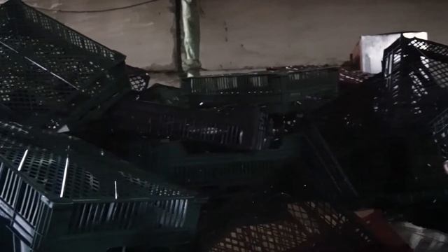 ООО "Лев" прием вторичного сырья в Екатеринбурге. смотреть онлайн