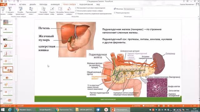 Органы пищеварения Здоровье Стройность Часть 2 Школа диетологии нутрициологии Занятие 3 смотреть онлайн