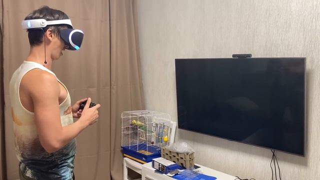 SKYRIM VR + PS4 PRO РАСПАКОВКА И ПЕРВЫЕ ВПЕЧАТЛЕНИЕ!!! ВЛОГ MR. CAT смотреть онлайн