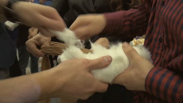 Корпоративный квартирник, праздник от 