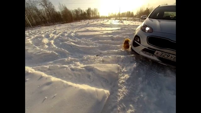 Привал по дороге к маме и небольшой тест 4К экшн камеры.