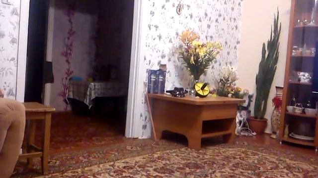 Приколы томаса смотреть онлайн