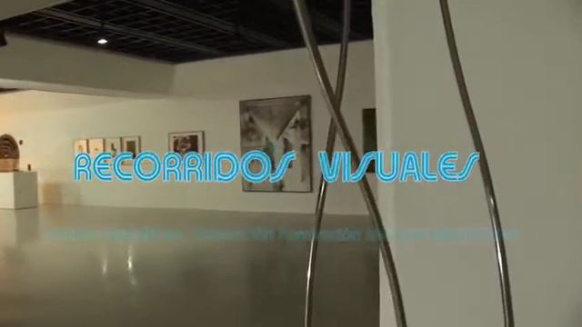 EXPOSICIÓN | Recorrido visuales - Museo de Arte Contemporáneo смотреть онлайн
