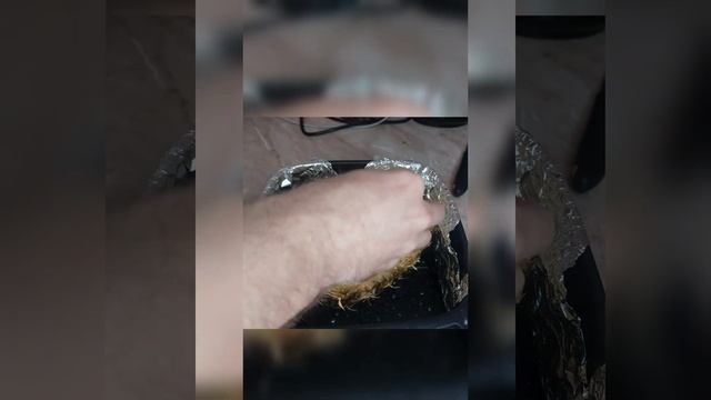 Шедевры Вкуса