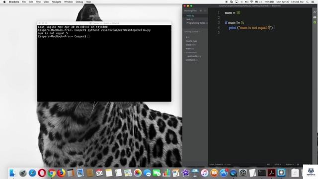 Using NOT Equal with if, else Statements | Complete Python Course from Basics to Brilliance | #shor смотреть онлайн