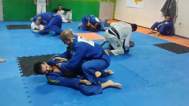 Gracie Elite (Rodrigo Dam X Cacau) смотреть онлайн