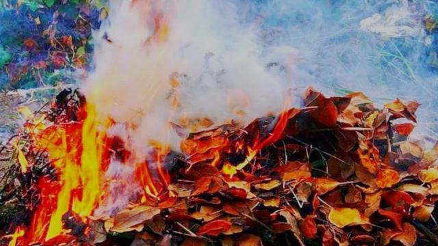 Вред сжигания листьев. Чистый Душанбе смотреть онлайн