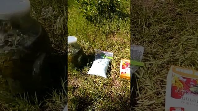 Хелатные микроудобрения своими руками микроэлементы железо медь цинк бор молибден #shorts смотреть онлайн