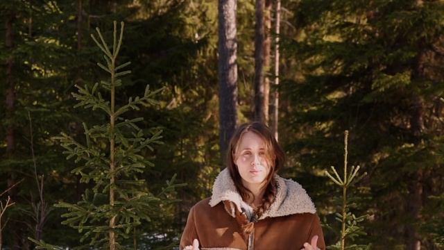 The Tale of Silence ° Do I get Lonely in the forests of Northern Sweden? смотреть онлайн