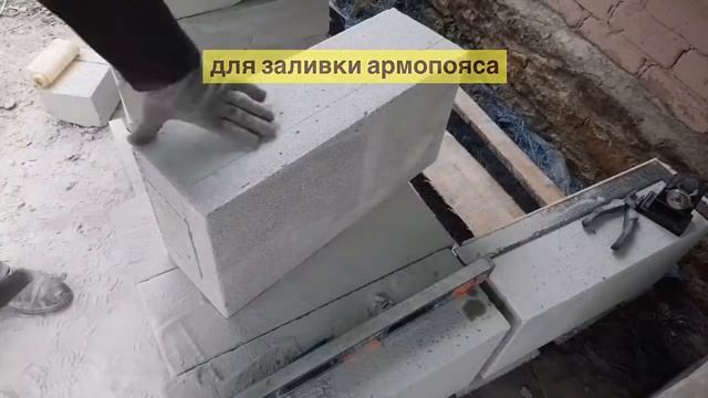 Армопояс и носорог. Reinforced wall and rhino смотреть онлайн