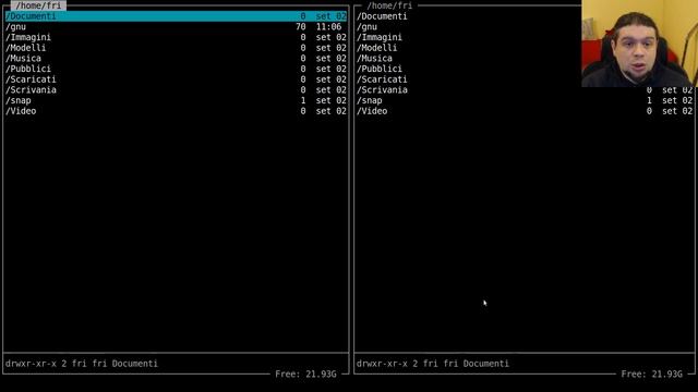 The RNR file manager (Tutorial English) смотреть онлайн