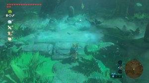 Где и как найти ВЫСШИЙ МЕЧ если нет 13 сердец в Zelda: BotW