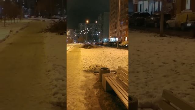 Графиоз ильмовых Вяз Васильевский остров Санкт-Петербург смотреть онлайн