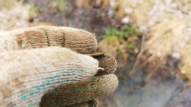 ЗАЧЁТНЫЕ НАХОДКИ НА МЕТАЛЛОИСКАТЕЛЬ ВОЗЛЕ ВЕСЁЛОЙ ДЕРЕВНИ ЛИХАРЁВО смотреть онлайн