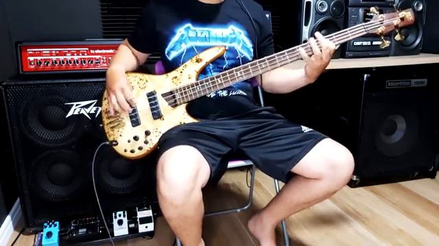 Savatage - Gutter ballet - Bass cover (by Wilian Costa ) смотреть онлайн