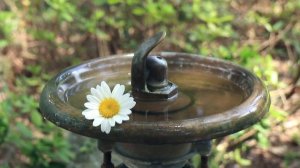 Южные штаты США: Саванна | Джорджия - столица южного гостеприимства и город - подарок.