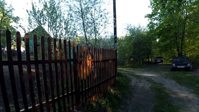 Поездка на дачу+покраска забора. смотреть онлайн