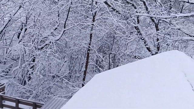 Кроем крышу профлистом на пристройке. смотреть онлайн