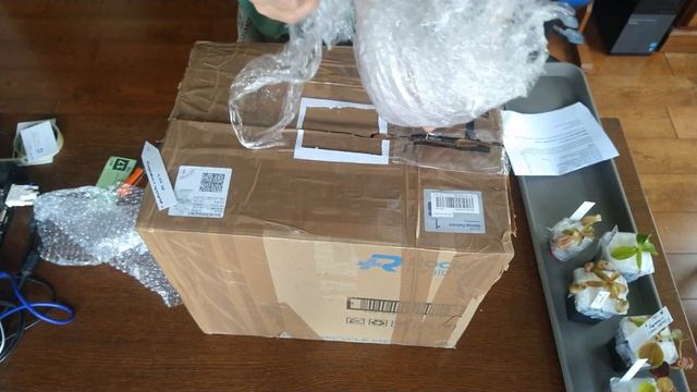Carnivorous Plants - Scotland Carnivorous Plants - Nepenthes Unboxing 2023