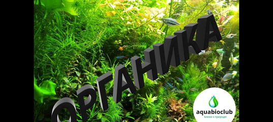 АкваБиоКлуб - азбука аквариумиста
