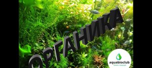Органика в аквариуме. Что это и за чем это?