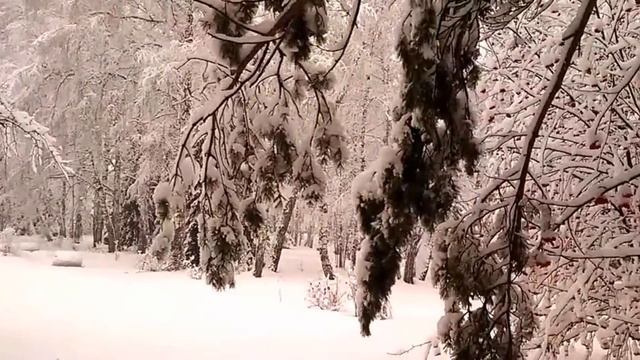 Зимняя сказка в наукограде Кольцово. смотреть онлайн