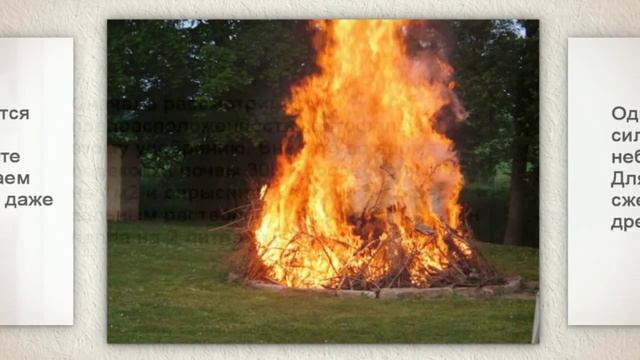 Удобрение золой огурцов смотреть онлайн