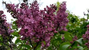 Двойная петля 1 - 4 серии | Мелодрама 2021