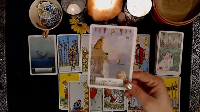 ???DO THEY MISS YOU? DO THEY STILL CARE???|?CHARM PICK A CARD? смотреть онлайн