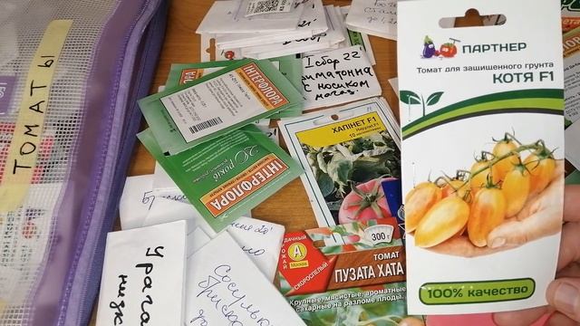 ??КАКИЕ ТОМАТЫ ВЫРАЩИВАЮ В ЭТОМ ГОДУ. ТОМАТЫ 2023г смотреть онлайн