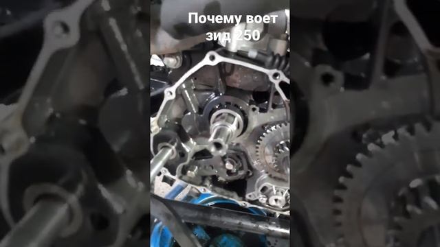 Зид 250 вой в коробке 166fmm 169fmm смотреть онлайн