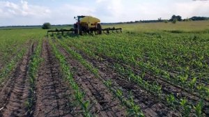 Технология подкормки кукурузы КАС 32.