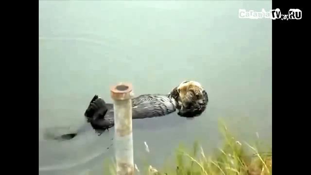 +100500 Взгляд В Душу смотреть онлайн