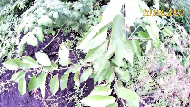 Строительный Дневник