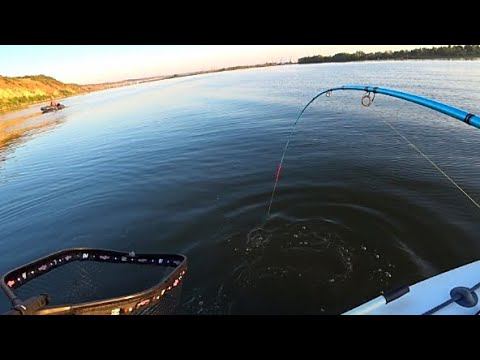 ВОТ ЭТО ПОПËРЛО !!! СОМЫ !!! САЗАНЫ !!! ТАКОЕ БЫВАЕТ 1 РАЗ В ЖИЗНИ!!! РЫБАЛКА смотреть онлайн