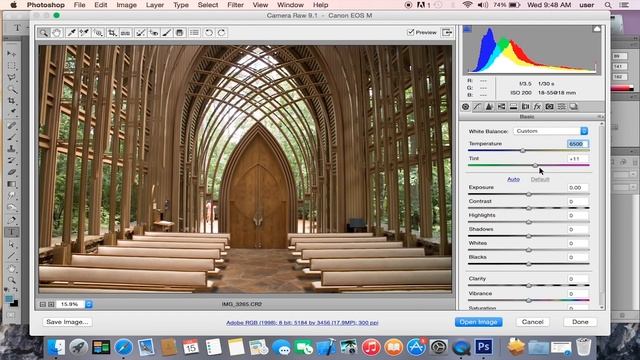 Camera Raw Not Enabled - Can't Open Raw Images in Photoshop or Adobe Bridge Fix for PC Mac смотреть онлайн