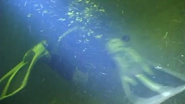 Wreck_river смотреть онлайн