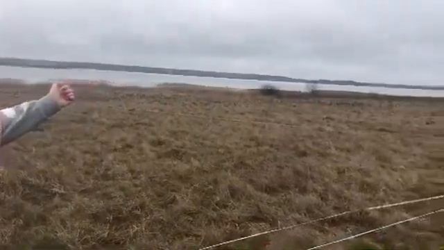 Участки в д. Копенки Железногорский район Курской области. смотреть онлайн